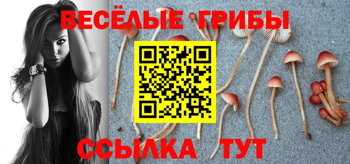 Когалым  Галлюциногенные грибы прущие грибы  Вход с VPN 