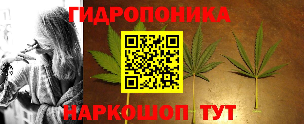 Конопля семена  Вход с VPN  Когалым  Марихуана THC 21% 